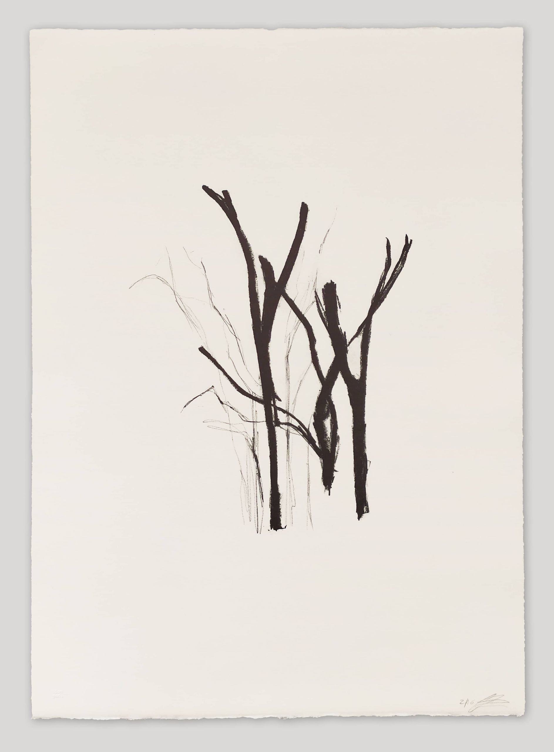 sans-titre-clara-champsaur